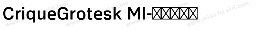 CriqueGrotesk MI字体转换